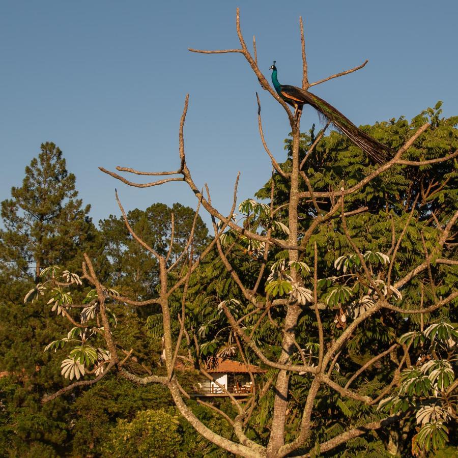 Fazenda Capoava Villa Itu Exterior photo